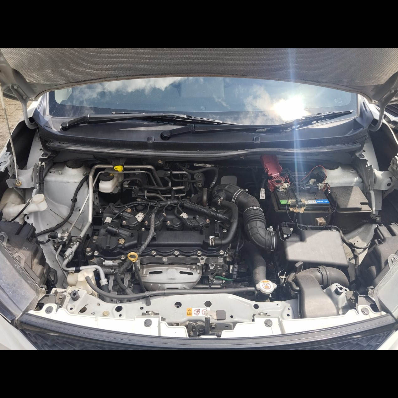 XENIA 1.3X MATIC - DB 1599 BV 3